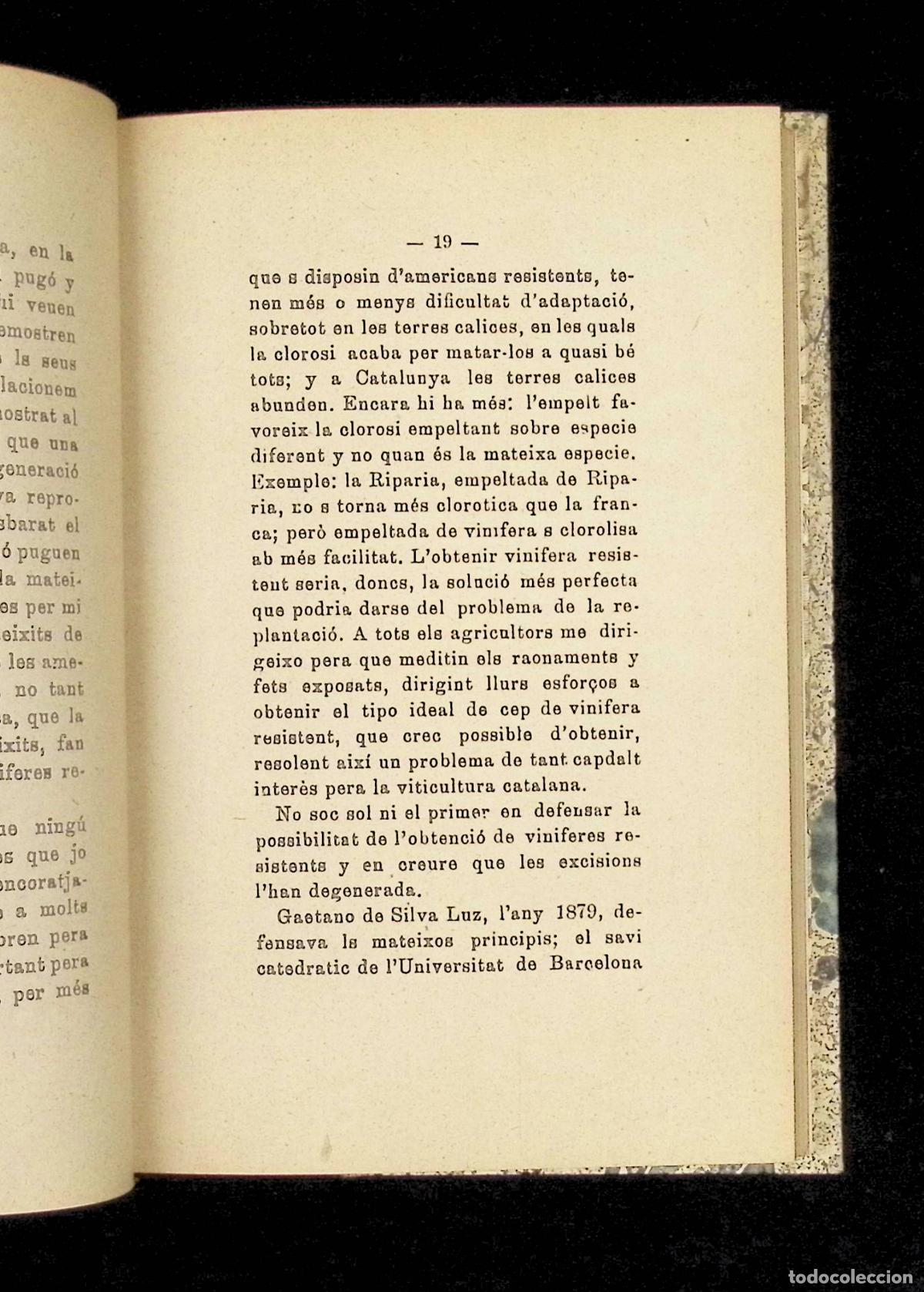 Libros antiguos: MALALTIES DE LA VINYA. - AGUILERA, Joaquim. - Foto 3