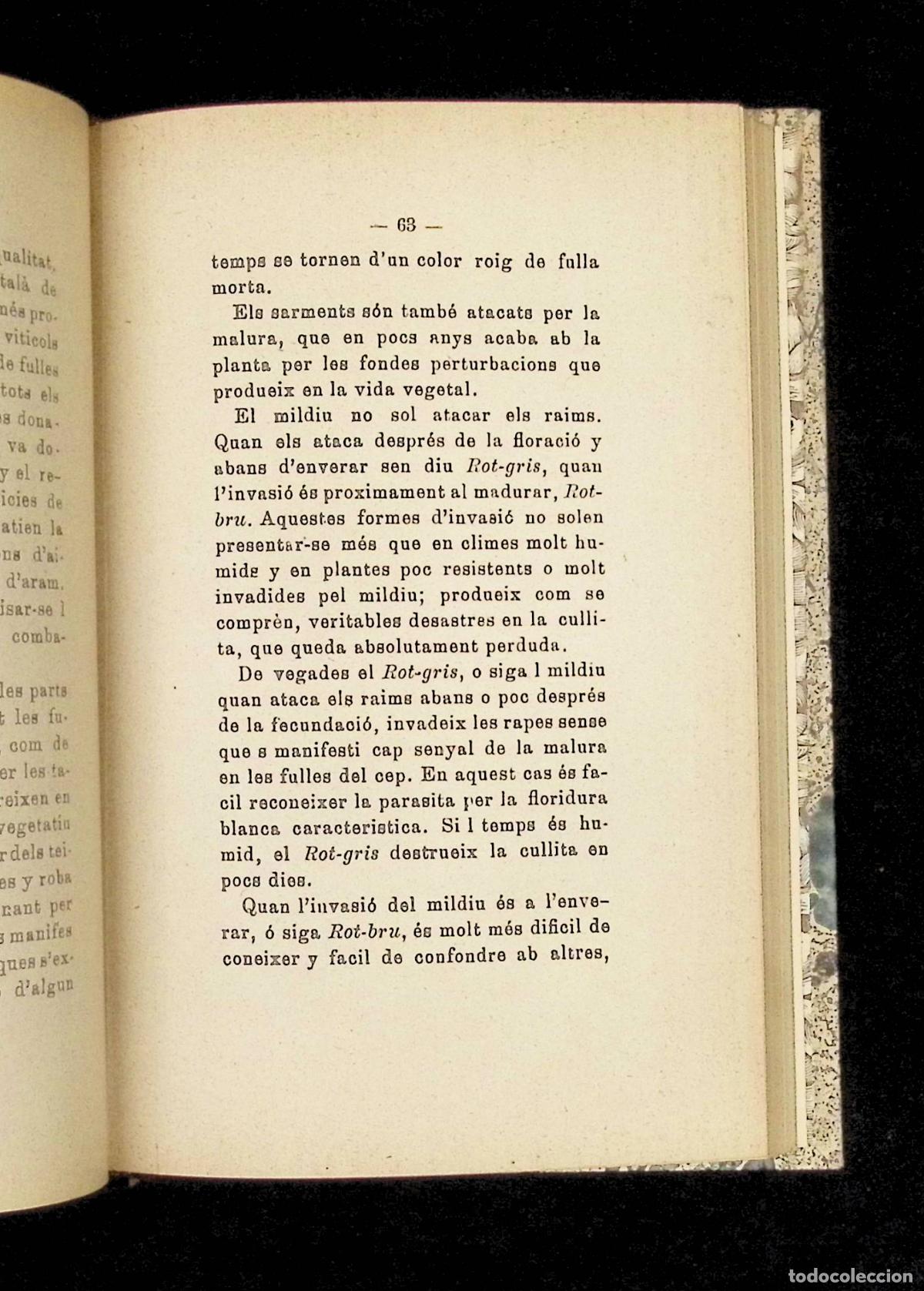 Libros antiguos: MALALTIES DE LA VINYA. - AGUILERA, Joaquim. - Foto 4
