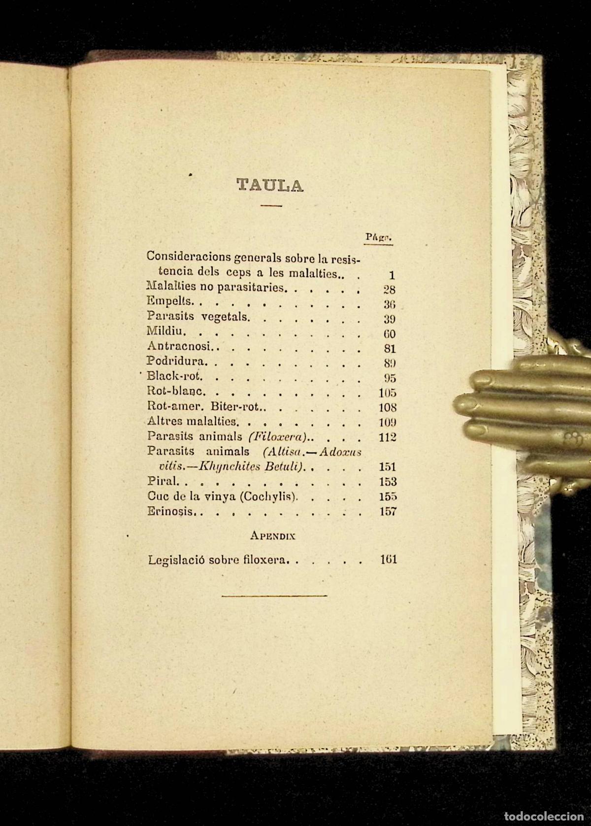Libros antiguos: MALALTIES DE LA VINYA. - AGUILERA, Joaquim. - Foto 5
