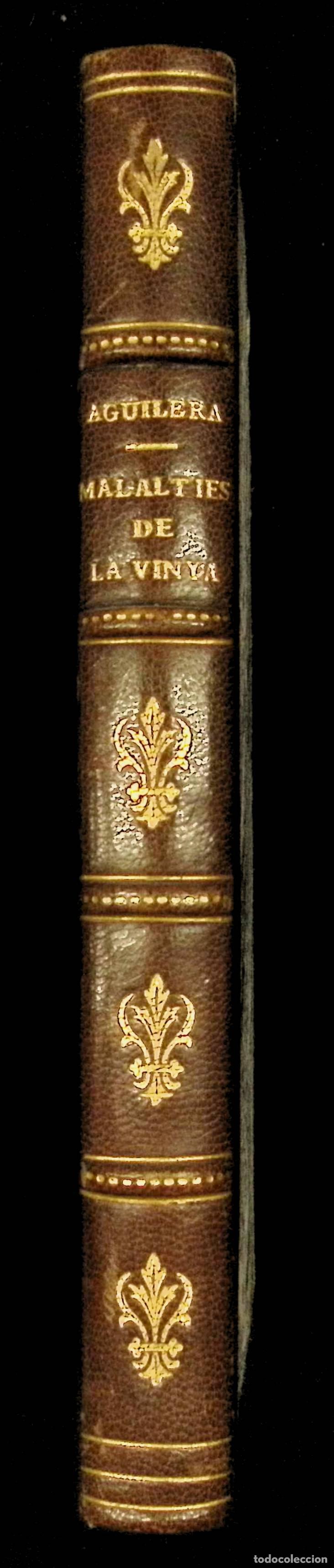 Libros antiguos: MALALTIES DE LA VINYA. - AGUILERA, Joaquim. - Foto 6