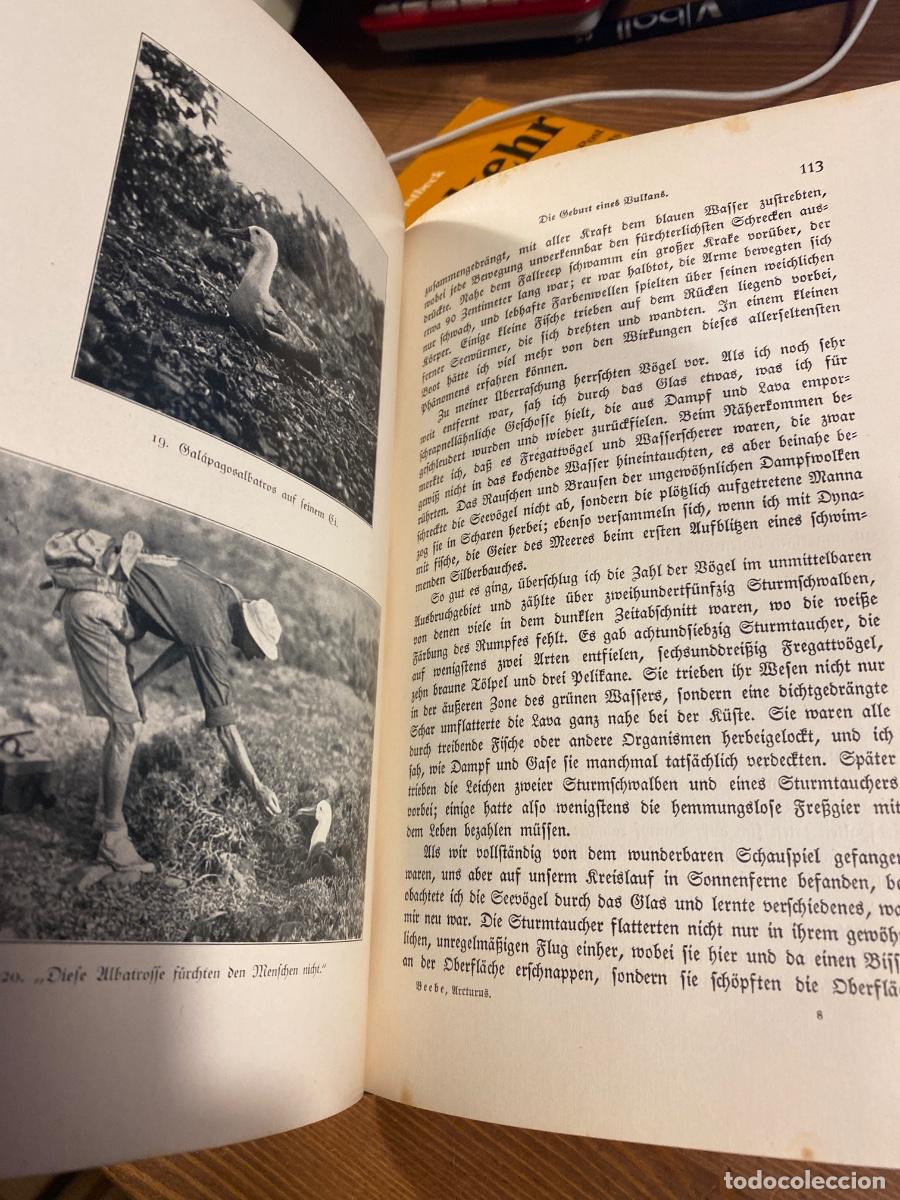 Libros antiguos: DAS ARCTURUS ABENTEUER WILLIAM BEEBE 1928 - Foto 5