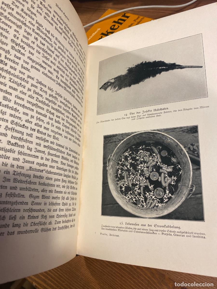 Libros antiguos: DAS ARCTURUS ABENTEUER WILLIAM BEEBE 1928 - Foto 6