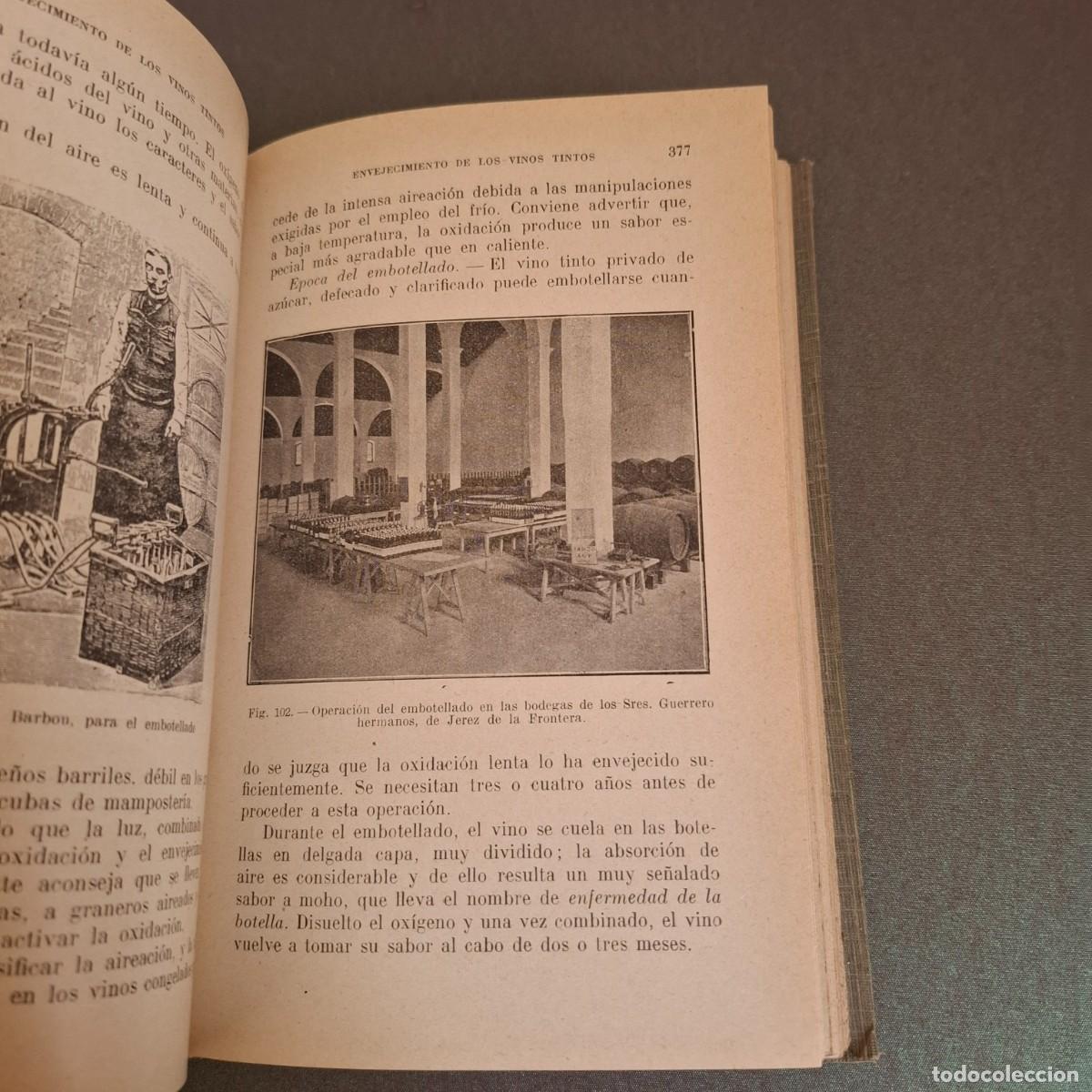 Libros antiguos: Vinificaci&oacute;n - Pablo Pacottet - 1924 - Foto 4
