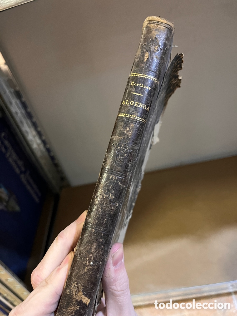 Libros antiguos: BLAS59 TRATADO DE &Aacute;LGEBRA ELEMENTAL / D.J. CORT&Aacute;ZAR - MADRID - 1908 - Foto 1