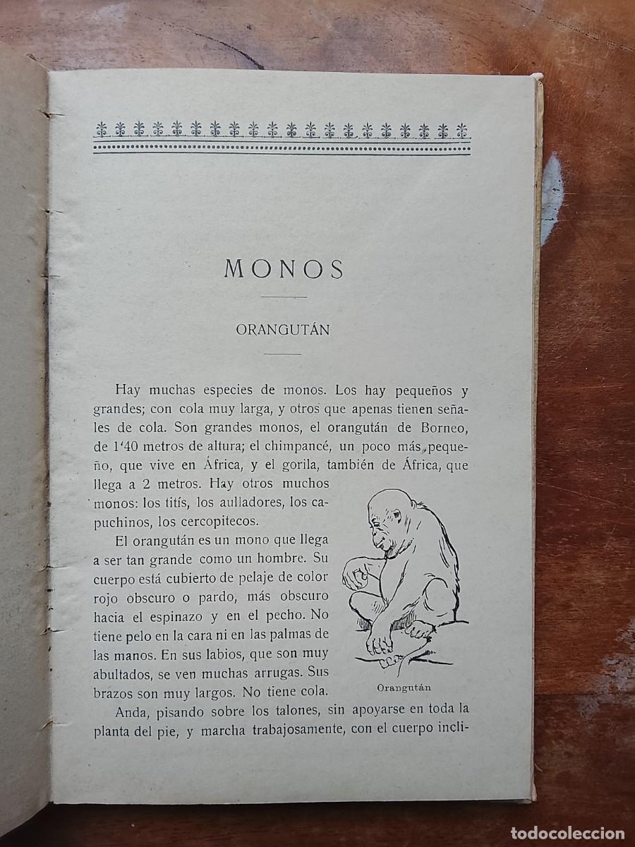 Libros antiguos: Lecturas zool&oacute;gicas 1916 - Foto 4