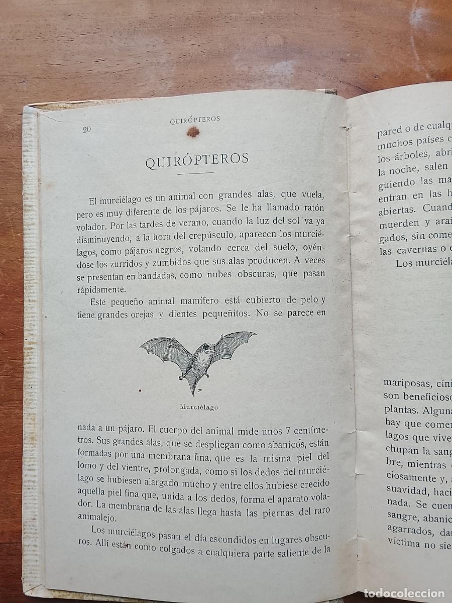 Libros antiguos: Lecturas zool&oacute;gicas 1916 - Foto 5