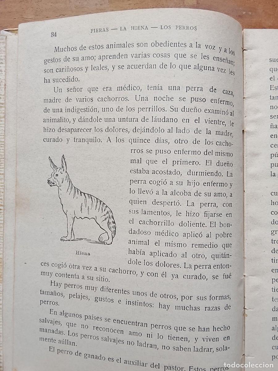 Libros antiguos: Lecturas zool&oacute;gicas 1916 - Foto 6