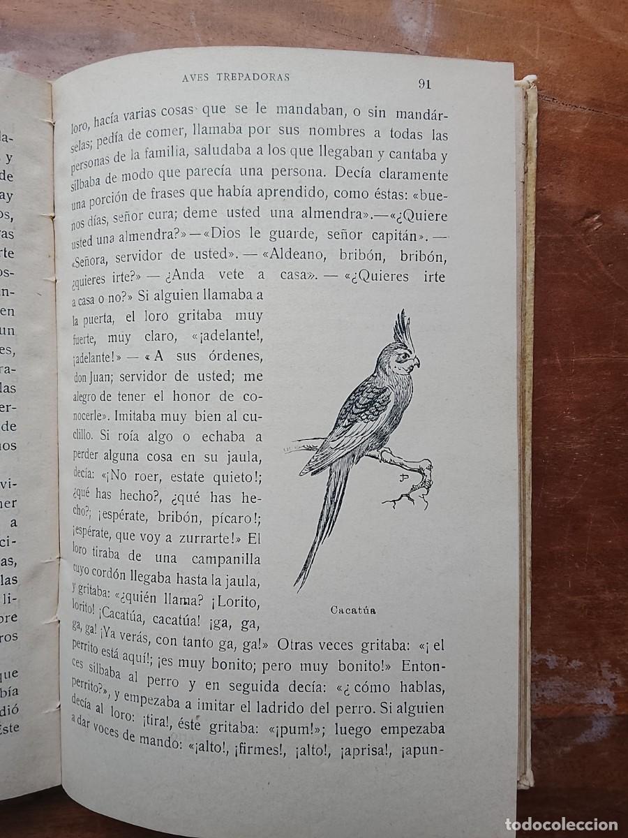 Libros antiguos: Lecturas zool&oacute;gicas 1916 - Foto 7
