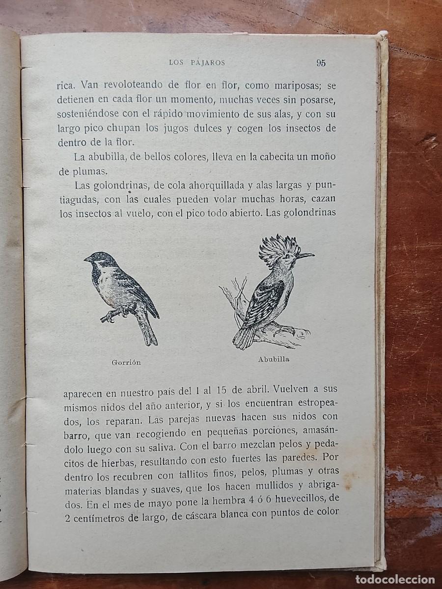 Libros antiguos: Lecturas zool&oacute;gicas 1916 - Foto 8