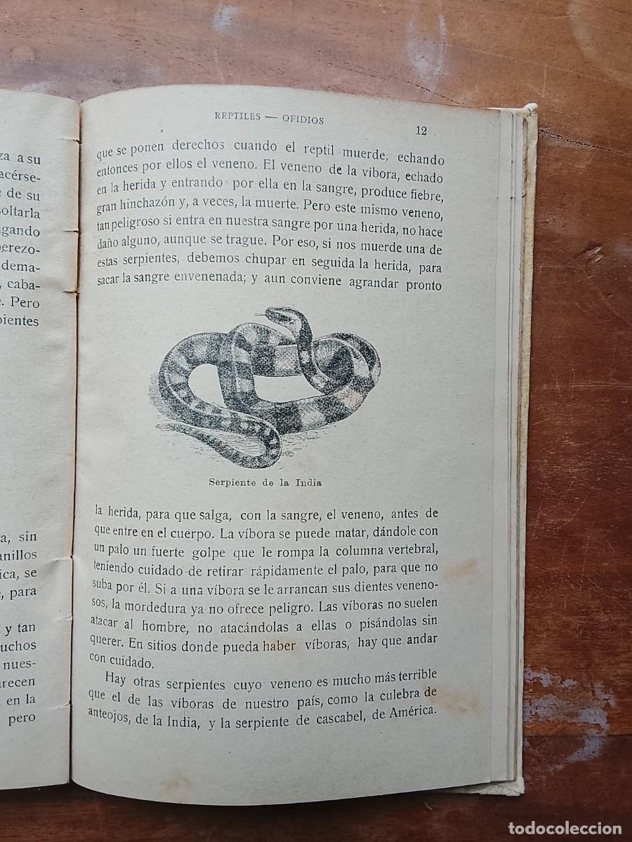 Libros antiguos: Lecturas zool&oacute;gicas 1916 - Foto 9