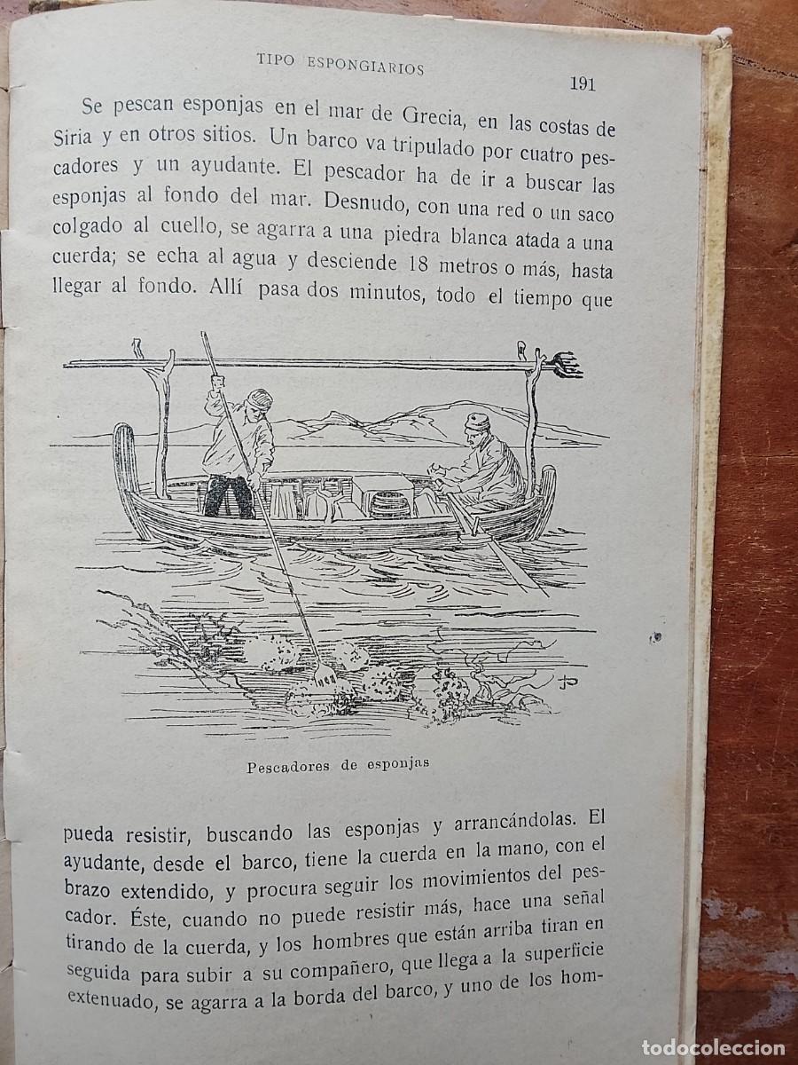 Libros antiguos: Lecturas zool&oacute;gicas 1916 - Foto 10