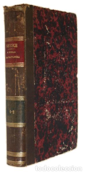 Libros antiguos: REUSCH. (Henrich) - A BIBLIA E A NATUREZA. - Foto 3