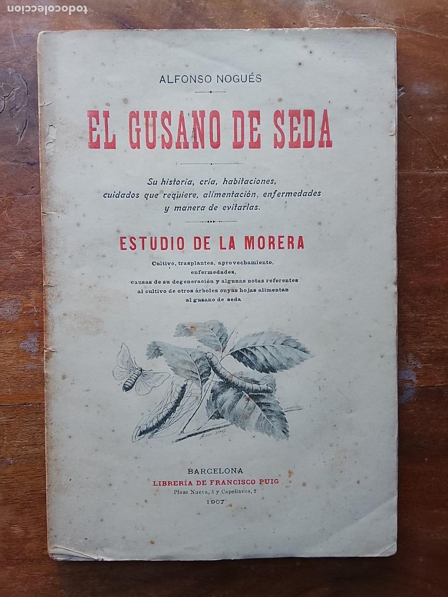 Libros antiguos: El gusano de seda, Estudio de la morera 1907 - Foto 1