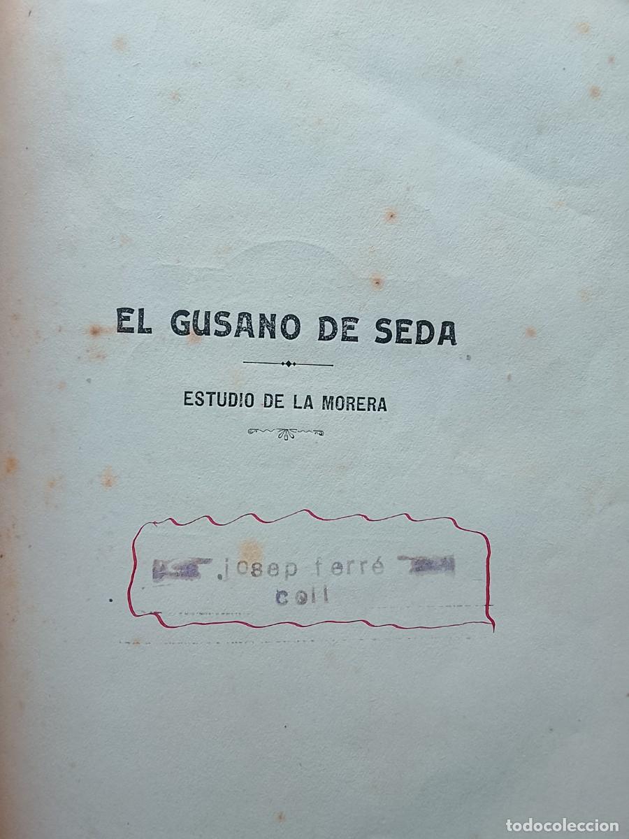Libros antiguos: El gusano de seda, Estudio de la morera 1907 - Foto 2