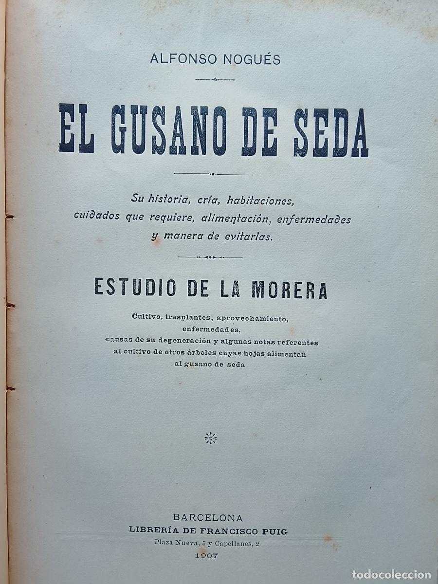 Libros antiguos: El gusano de seda, Estudio de la morera 1907 - Foto 3