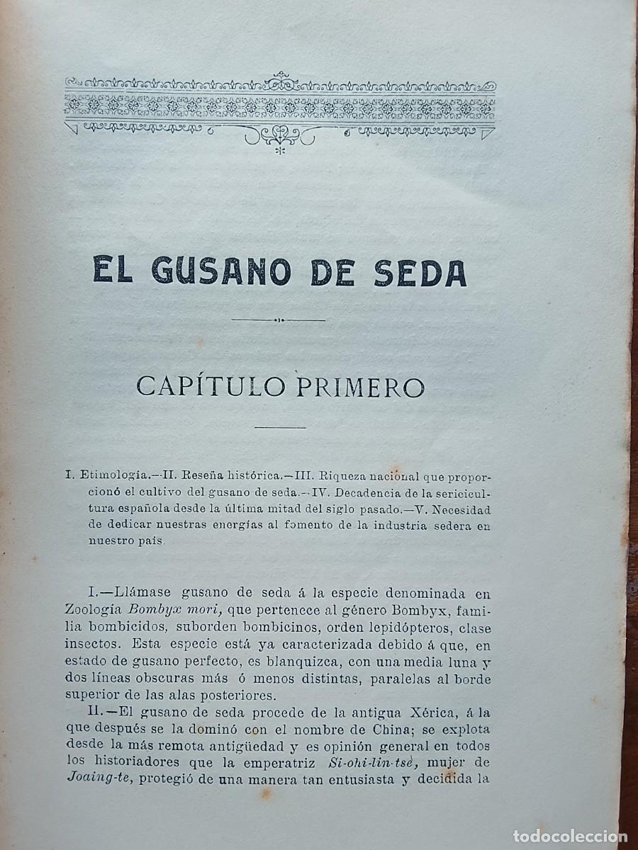 Libros antiguos: El gusano de seda, Estudio de la morera 1907 - Foto 4