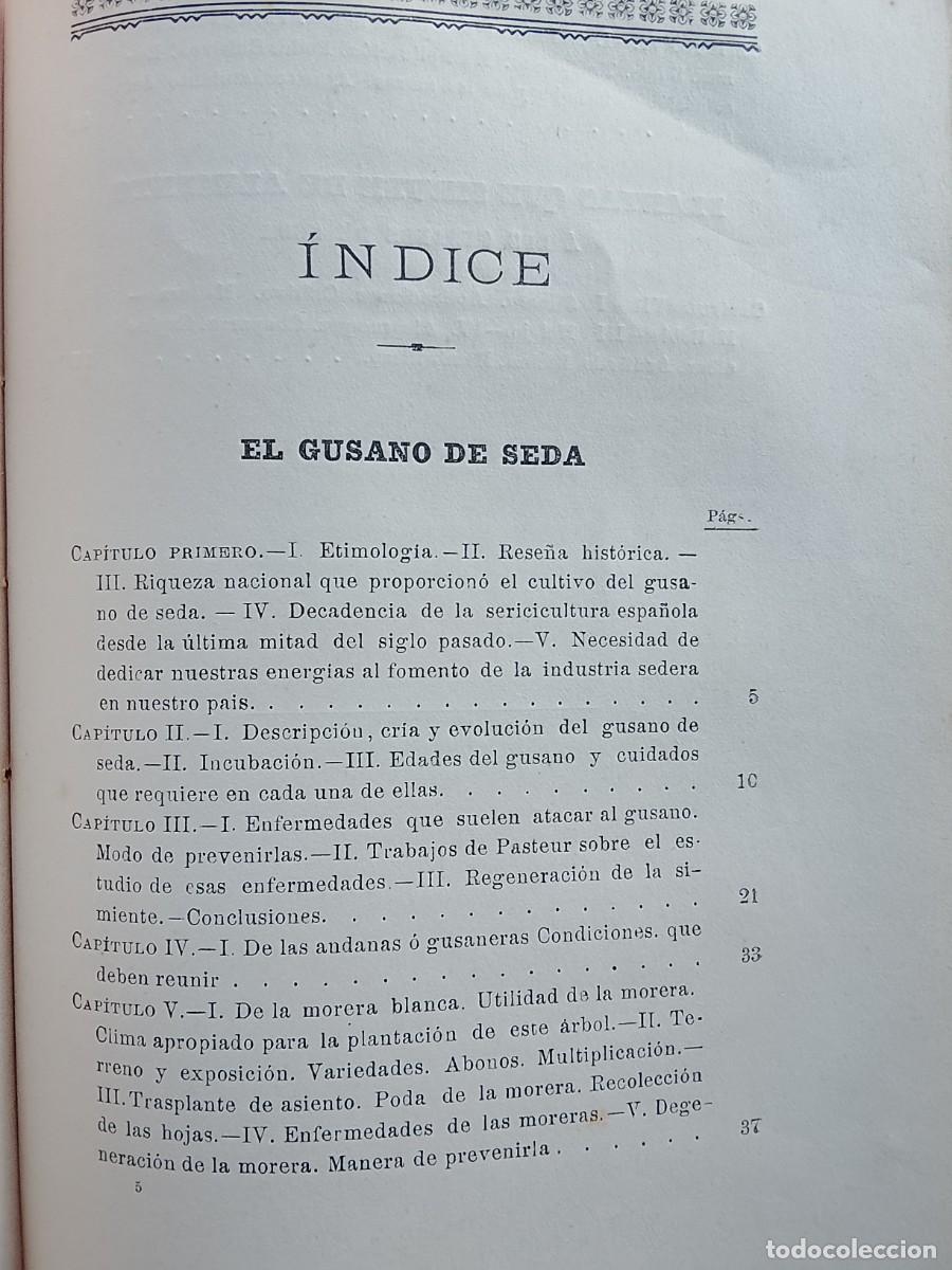 Libros antiguos: El gusano de seda, Estudio de la morera 1907 - Foto 5