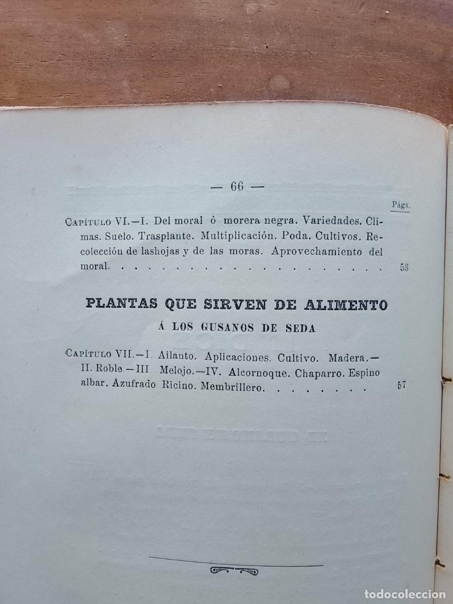 Libros antiguos: El gusano de seda, Estudio de la morera 1907 - Foto 6