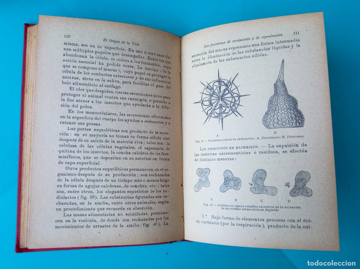 Libros antiguos: El origen de la vida. Autor: J. M. Pargame - Foto 2