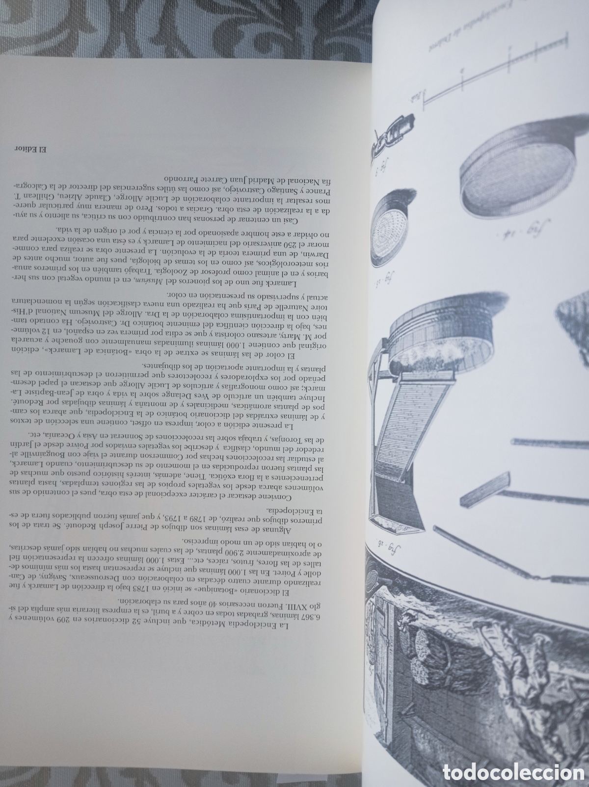 Libros antiguos: BOT&Aacute;NICA DE LAMARCK. EDICI&Oacute;N DE LUJO - Foto 7