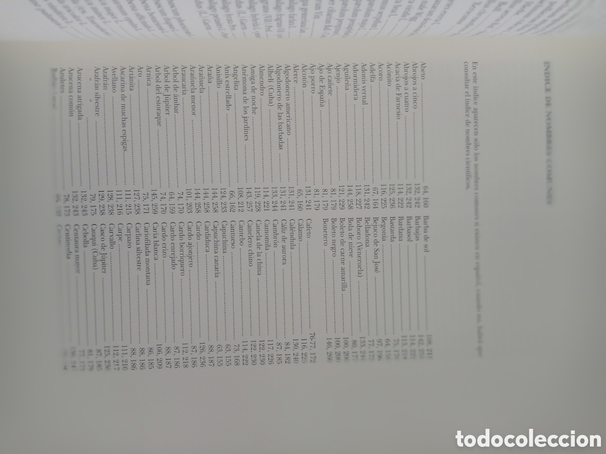 Libros antiguos: BOT&Aacute;NICA DE LAMARCK. EDICI&Oacute;N DE LUJO - Foto 10