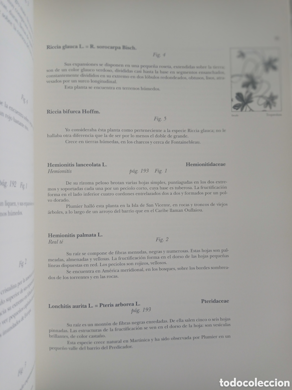 Libros antiguos: BOT&Aacute;NICA DE LAMARCK. EDICI&Oacute;N DE LUJO - Foto 11