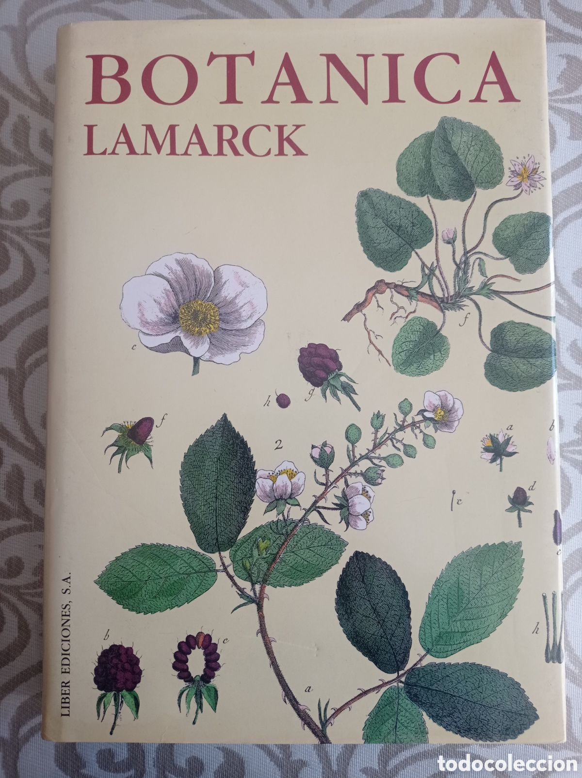 Libros antiguos: BOT&Aacute;NICA DE LAMARCK. EDICI&Oacute;N DE LUJO - Foto 1