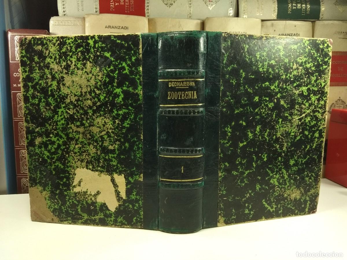 Livros antigos: TRATADO DE ZOOTECNIA. TOMO PRIMERO: ZOOTECNIA GENERAL. Por P. DECHAMBRE.