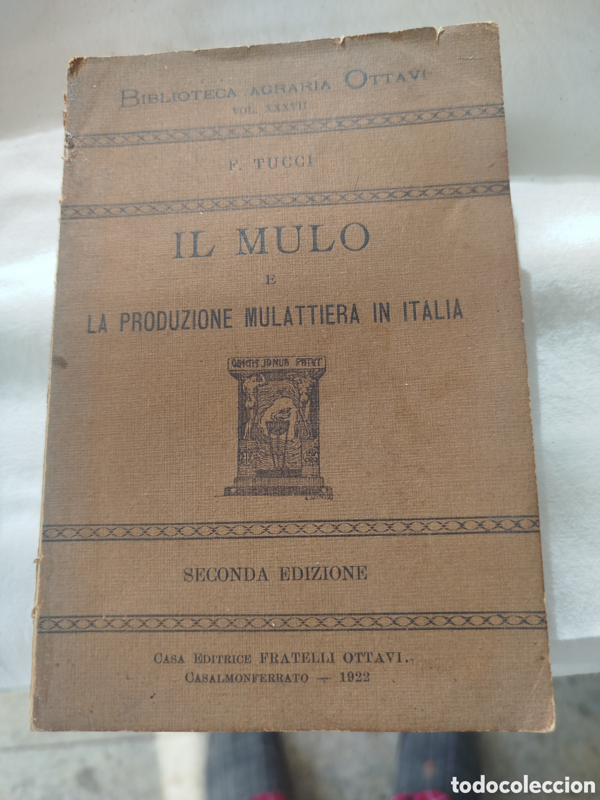 Libros antiguos: IL MULO yLA PRODUZIONE MULATERA IN ITALIA 1922