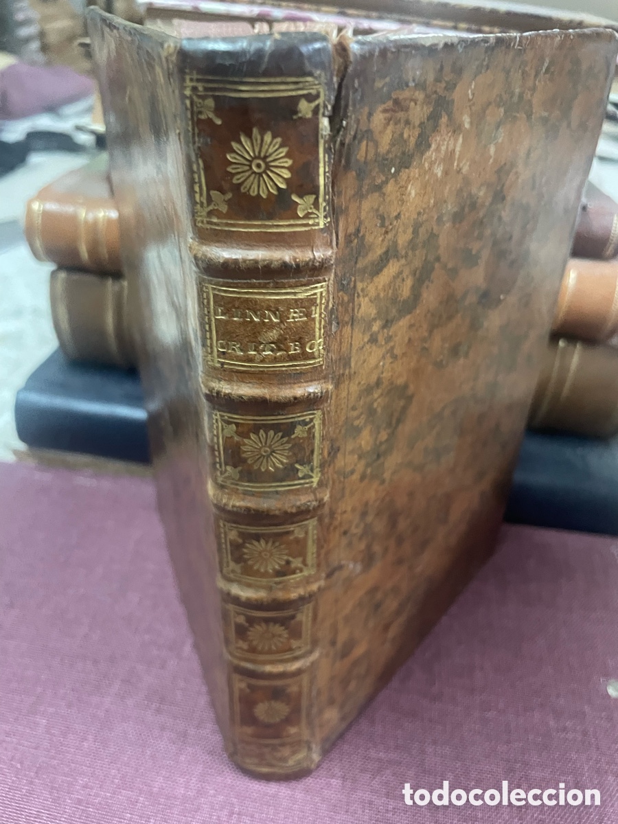 Libros antiguos: Cr&iacute;tica Bot&aacute;nica (Caroli ,Linnaei ) 1737