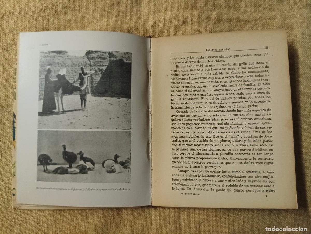 Libros antiguos: El mundo alado.  Angel Cabrera - Foto 4