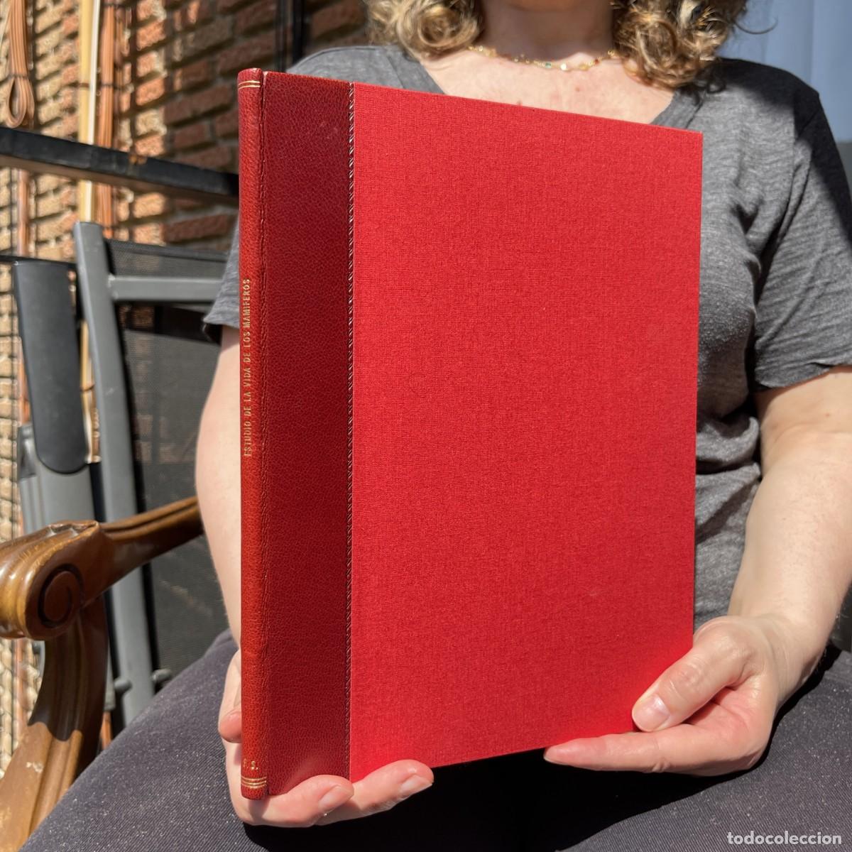 Libros antiguos: GUIA PARA EL ESTUDIO DE LA VIDA Y ECOLOGIA DE LOS MAMIFEROS - CAZA - 1960