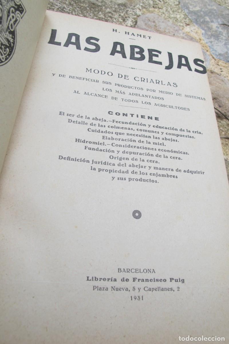 Libros antiguos: LAS ABEJAS. H. HAMET. 1931