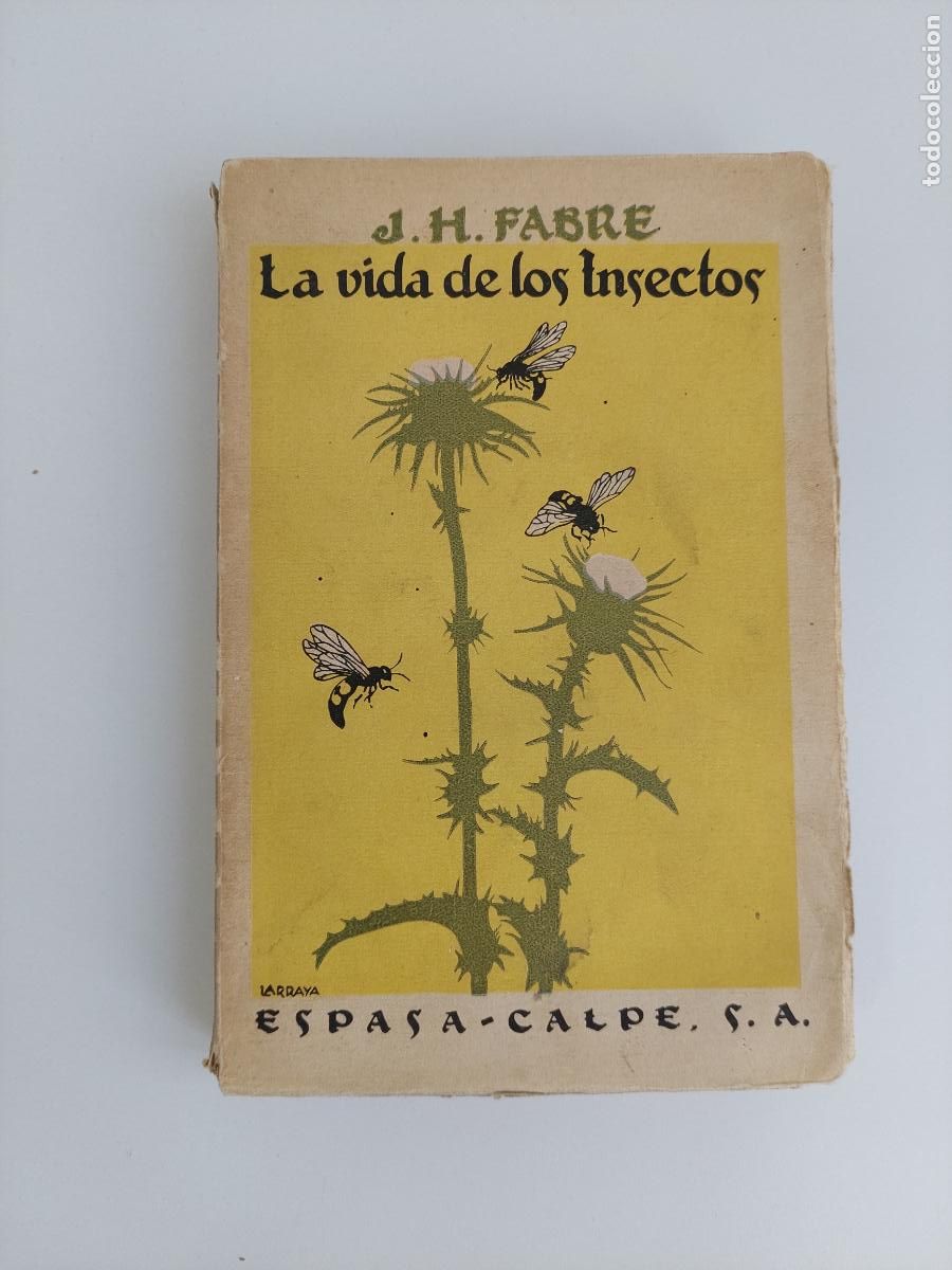Libros antiguos: &rdquo;La vida de los insectos Trozos escogidos de los &rdquo;&rdquo;Souvenirs entomologiques&rdquo;&rdquo;&rdquo; - Fabre, Jean-Henri-C
