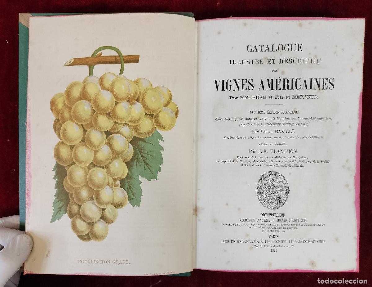 Libros antiguos: CATALOGUE ILLUSTR&Eacute; ET DESCRIPTIF DES VIGNES AM&Eacute;RICAINES. MM. BUSH. A. DELAHAYE &Eacute;D. PARIS, 1885