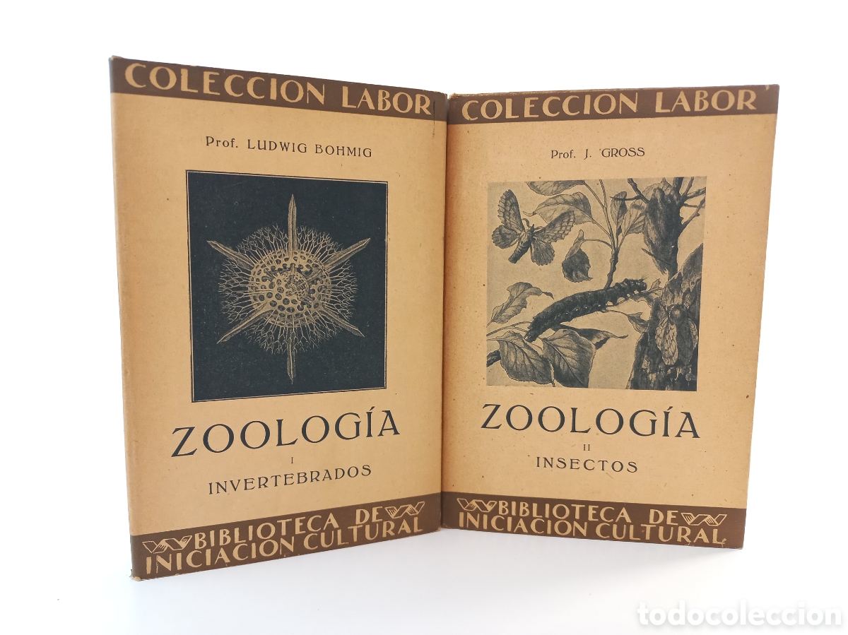 Libros antiguos: Zoolog&iacute;a. Cross; Ludwig Bohmig. Labor, 1926-27. Ilustrado.