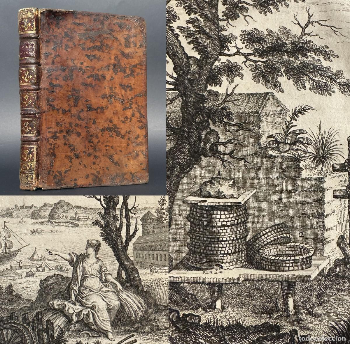 Libros antiguos: A&Ntilde;O 1760 - Conjunto de observaciones de la Sociedad de Agricultura, Comercio y Artes - Grabados - Ap