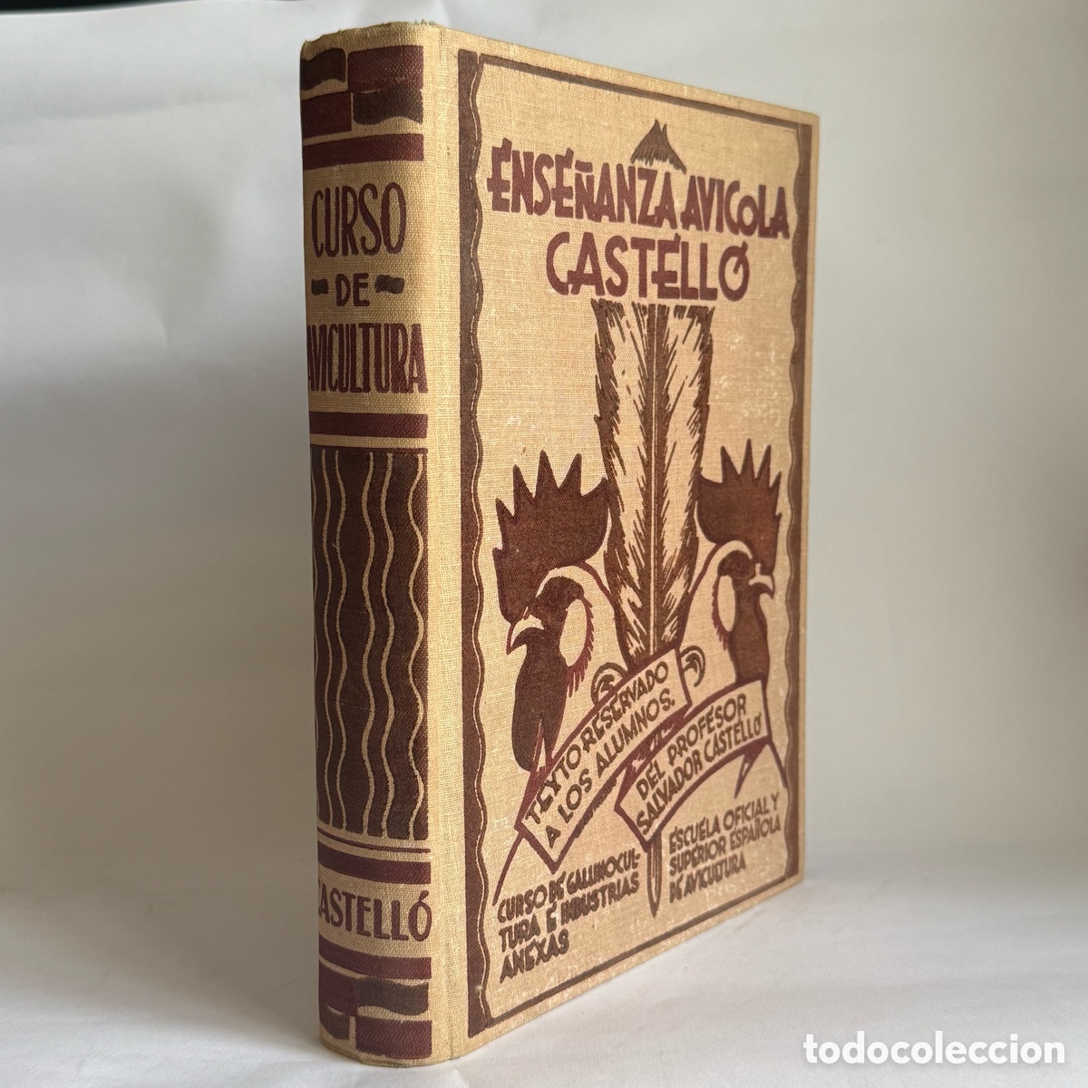 Libros antiguos: Castell&oacute; CURSO DE AVICULTURA Apuntes de Gallinocultura e industrias anexas - ARENYS DE MAR