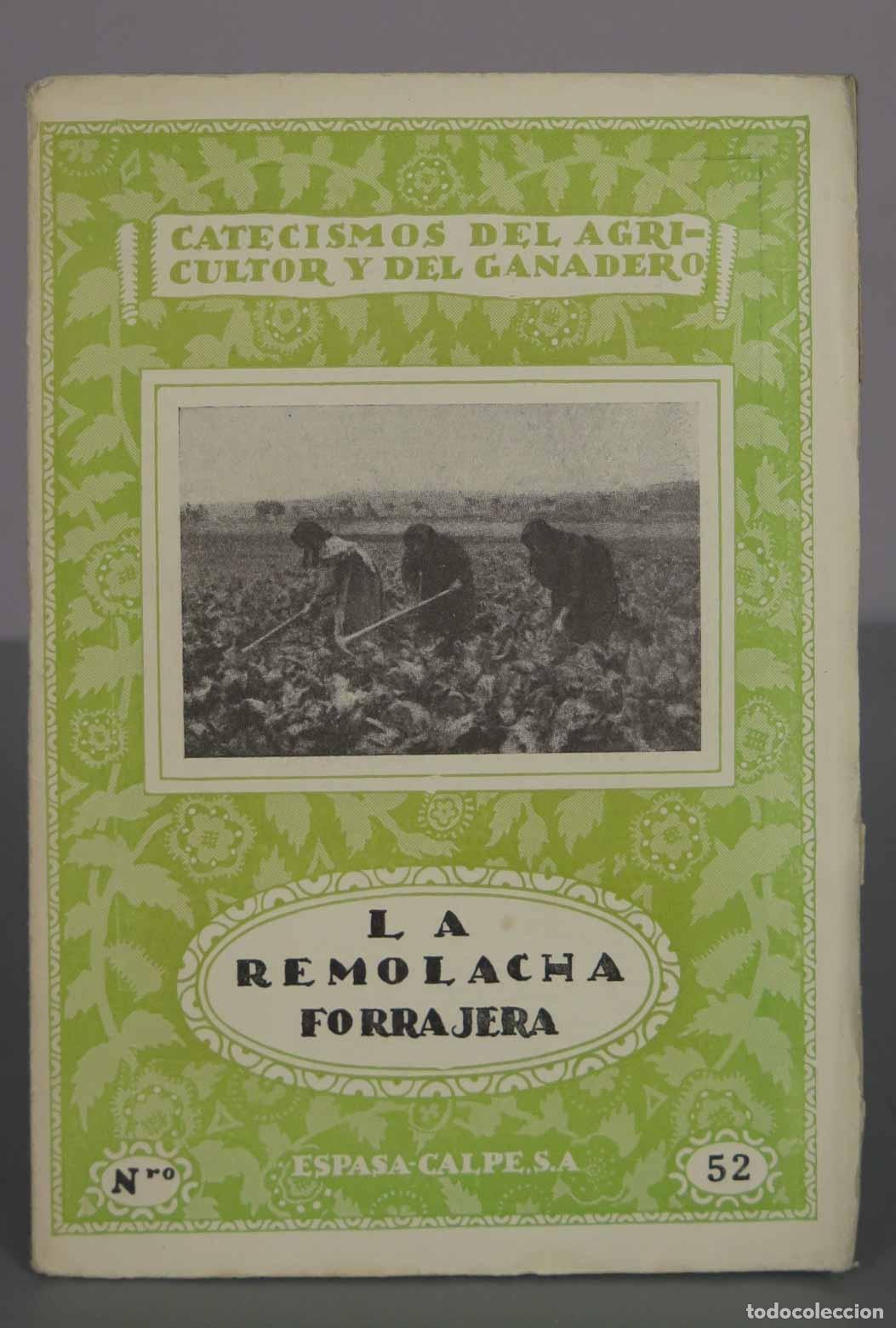 Libros antiguos: La remolacha forrajera - Manuel Naredo - Catecismos del agricultor y del ganadero - Editorial Espasa