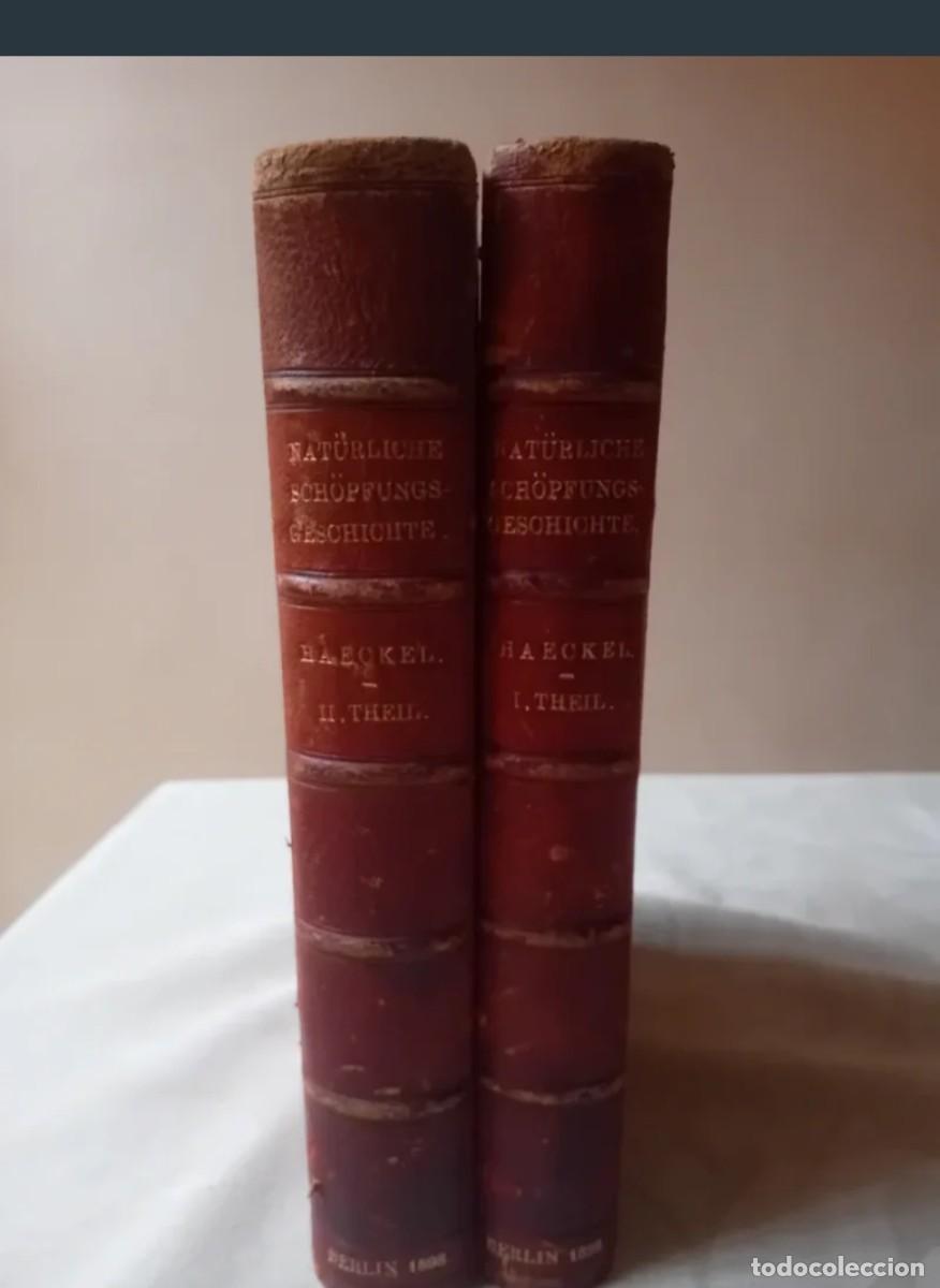 Libros antiguos: Historia natural de la Creacion, Ernst Haeckel, 1898, Aleman