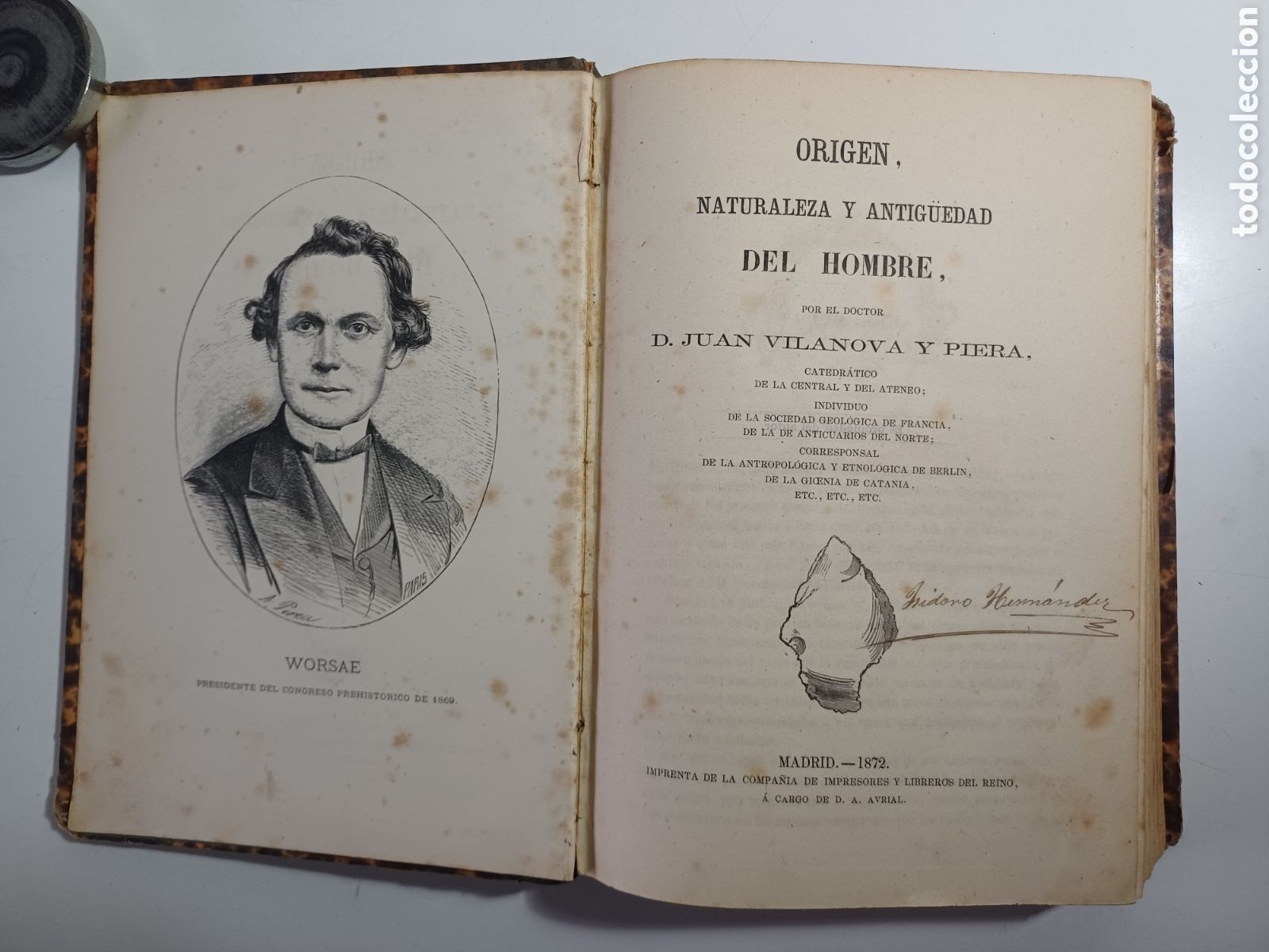 Libros antiguos: Origen naturaleza y antig&uuml;edad del hombre por Juan Vilamova y Piera 1872