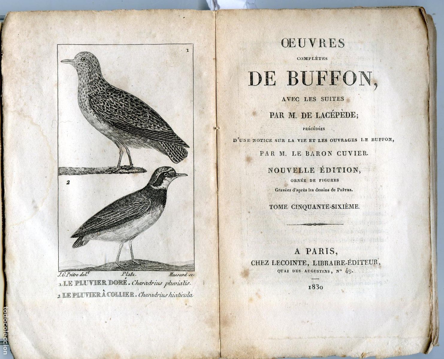 Libros antiguos: Oeuvres compl&eacute;tes de Buffon, Paris chez Lecointe, 1830, tomo 56, ilustrado con grabados de p&aacute;jaros
