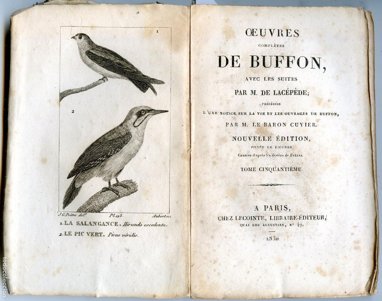 Libros antiguos: Oeuvres compl&eacute;tes de Buffon, Paris chez Lecointe, 1830, tomo 50, ilustrado con grabados de p&aacute;jaros