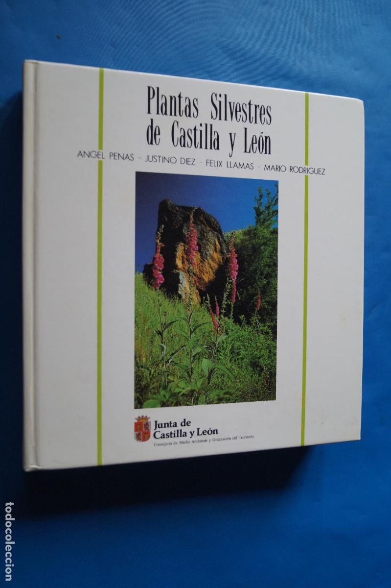Libros antiguos: PLANTAS SILVESTRES DE CASTILLA Y LEON. VV.AA