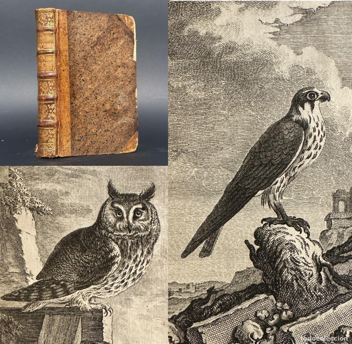 Libros antiguos: a&ntilde;o 1770 - ORNITOLOGIA - AVES - BUHO - HALCON - HISTORIA NATURAL