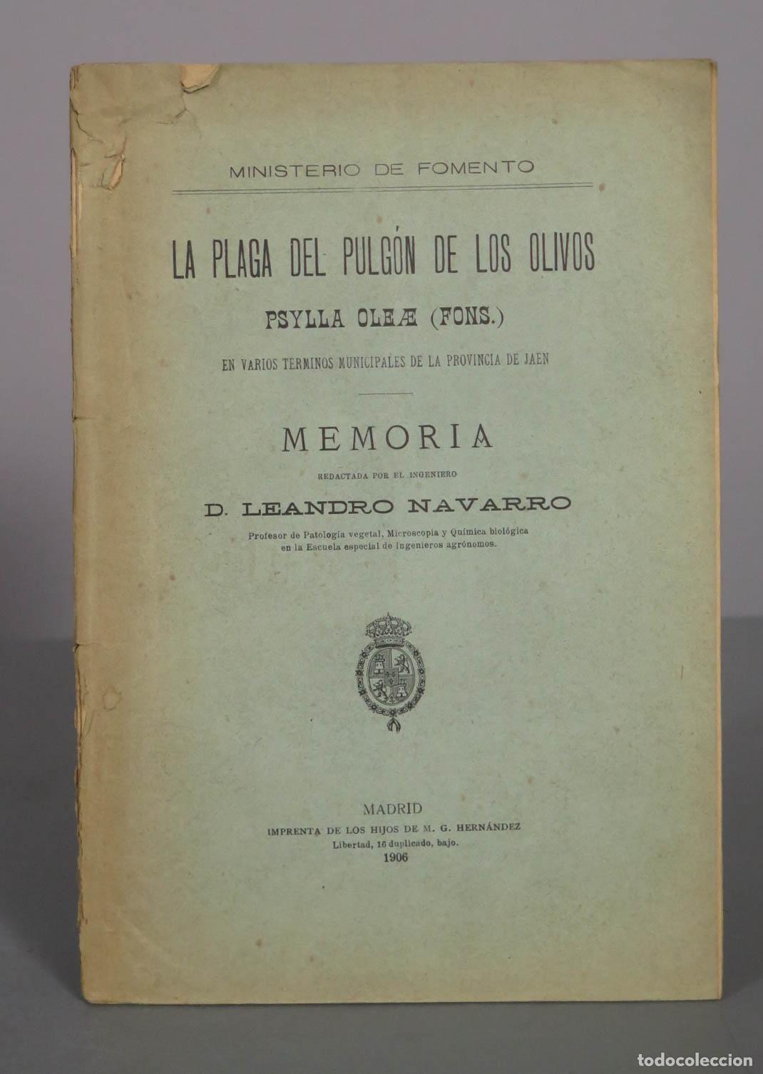 Libros antiguos: La plaga del pulg&oacute;n de los olivos: Psylla oleae (Fons.) en Jaen. 1906. NAVARRO LEANDRO