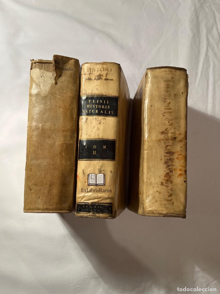Libros antiguos: PLINIO EL VIEJO &ndash; Naturalis Historiae (3 tomos completos) &ndash; Hackiana, Leiden/Rotterdam, 1668&ndash;1669