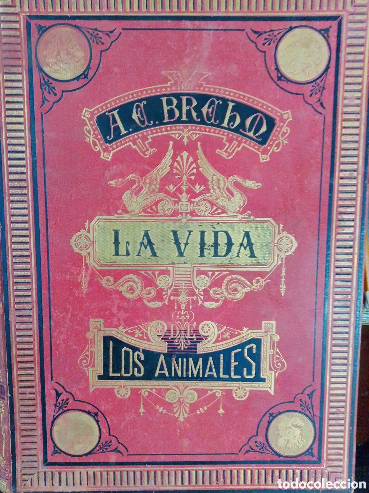 Libros antiguos: LA VIDA DE LOS ANIMALES. BREHM, DR. A. E. 6 TOMOS. A. RIUDOR Y COMPA&Ntilde;IA. 1880