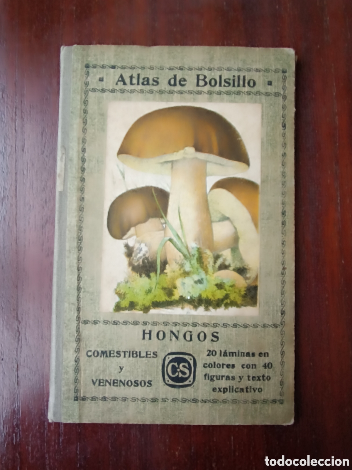 Libros antiguos: Atlas de bolsillo - Hongos comestibles y venenosos