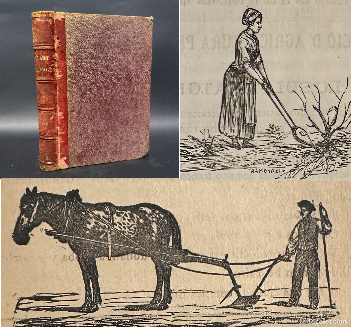 Libros antiguos: a&ntilde;o 1881 - L'ART DEL PAGES - FILOXERA - REVISTA DE AGRICULTURA CATALANA - CATALAN